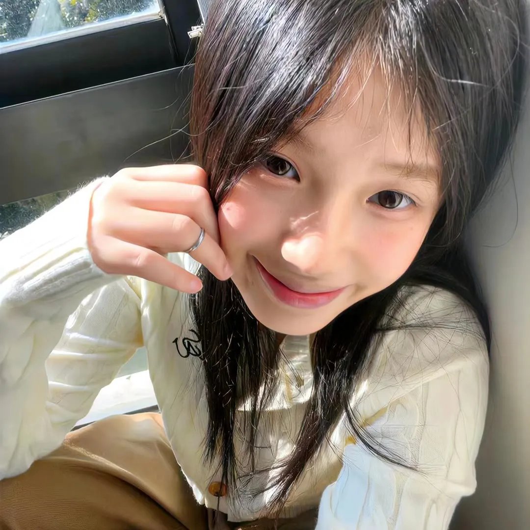 鲨鱼：风暴